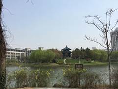 IMG_2529